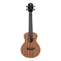 Amazon Hot Sale Ukulele, OEM Ukulele,Concert Ukulele Bear Boy TT